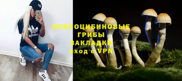 ECSTASY Абаза