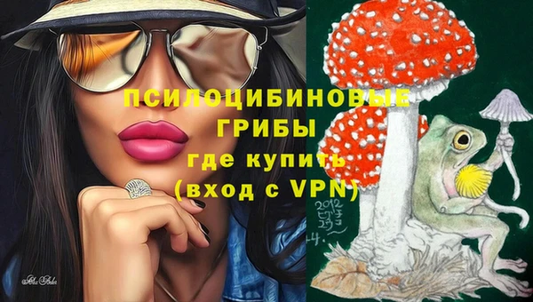 ECSTASY Абаза