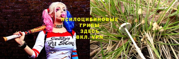ECSTASY Абаза