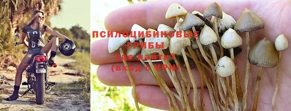 ECSTASY Абаза