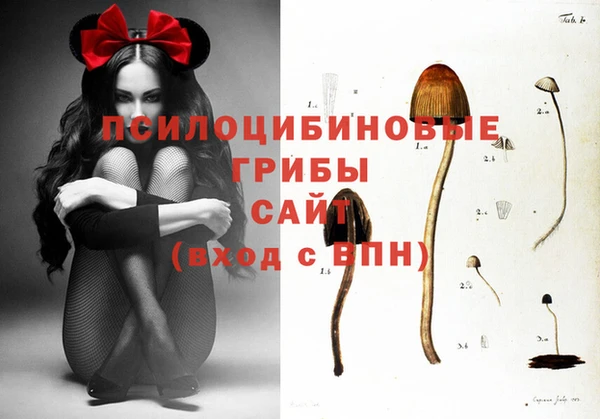 ECSTASY Абаза