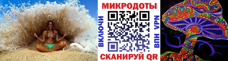 магазин продажи Староминская darknet официальный сайт Псилоцибиновые грибы MAGIC MUSHROOMS